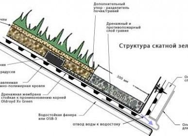 травяная крыша технология