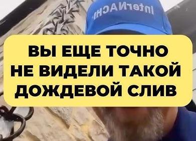 дождевые сливы для дачи