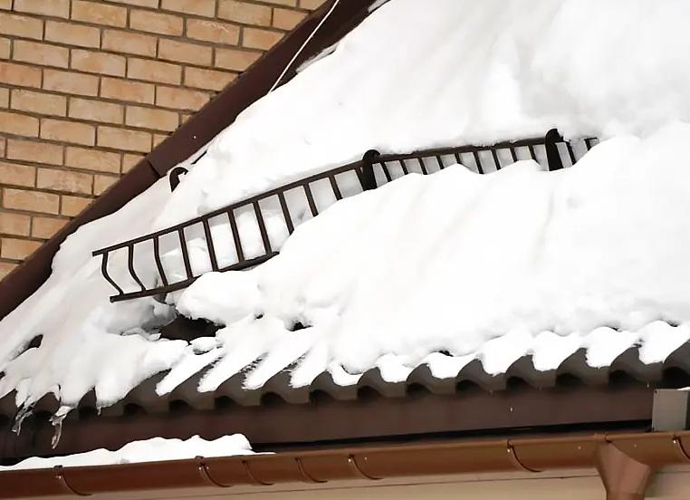 какой снегозадержатель лучше для профнастила