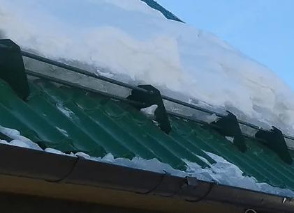 защита от падения с крыши снега